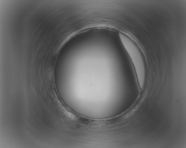 X0000080800993200701122210