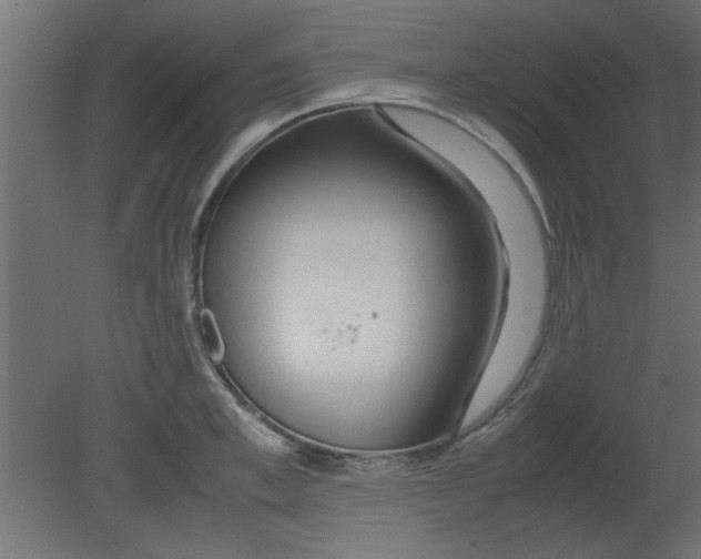 X0000080800997200701122210