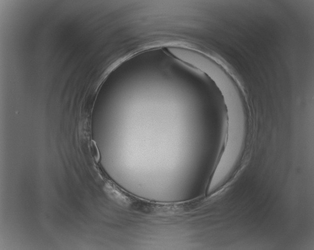 X0000080801001200701122210