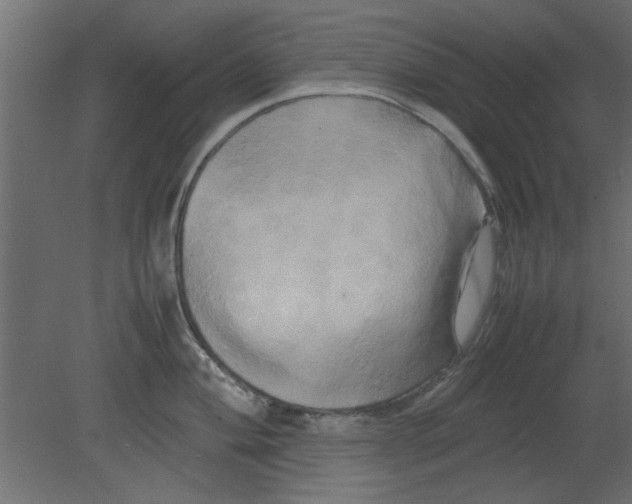 X0000080801004200701122210