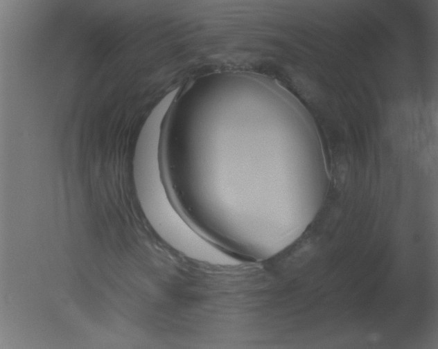 X0000080801010200701122209