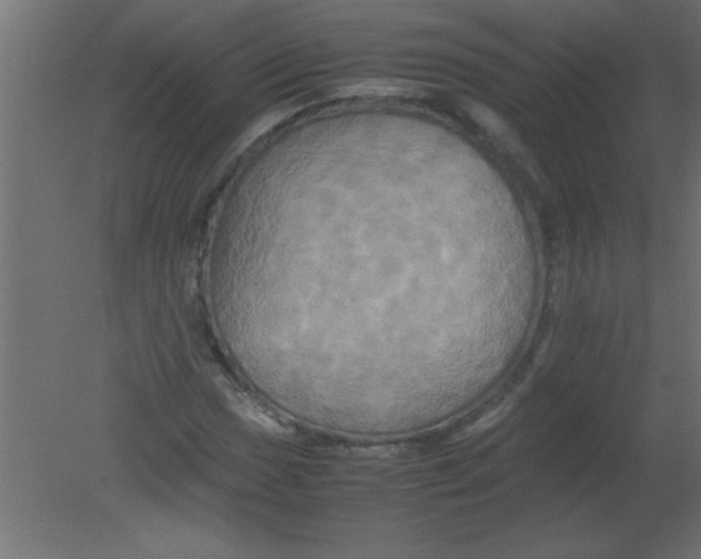 X0000080801017200701122209