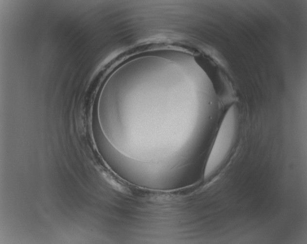 X0000080801018200701122209