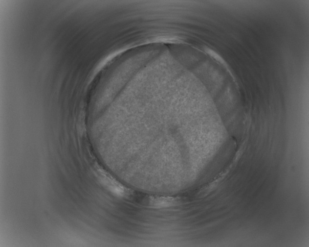 X0000080801019200701122209