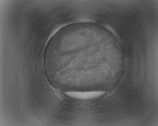 X0000080801023200701122209
