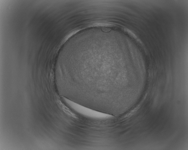 X0000080801025200701122209