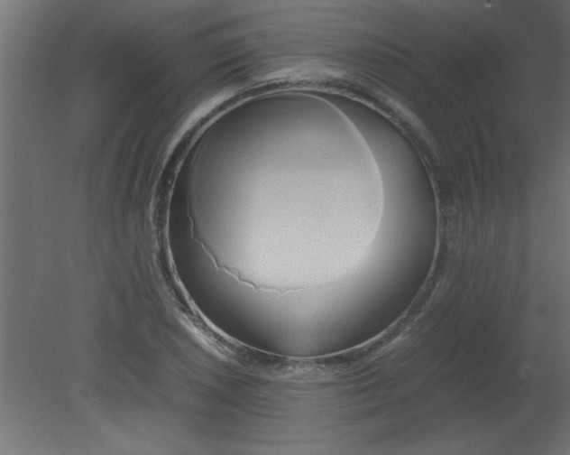 X0000080801026200701122209