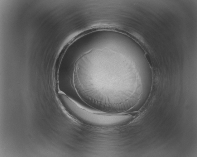 X0000080801030200701122209