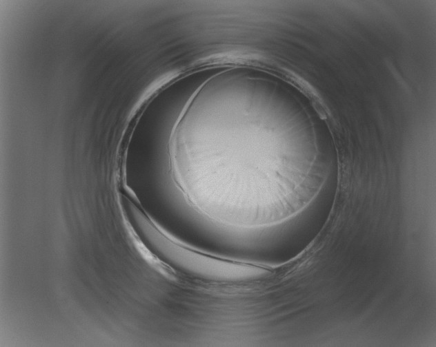 X0000080801042200701122209