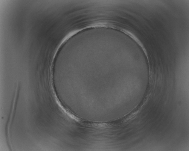 X0000080801045200701122209