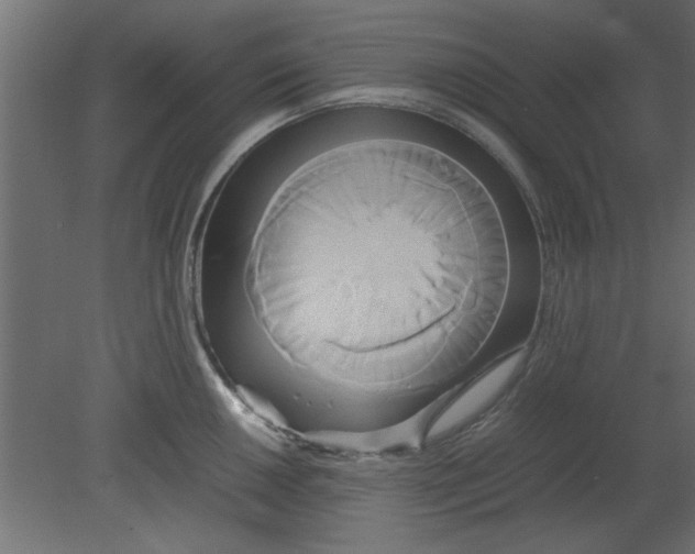 X0000080801050200701122209