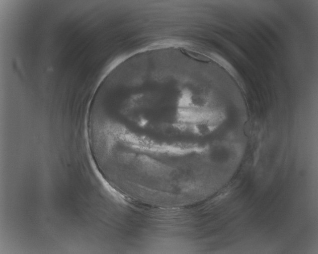 X0000080801055200701122209