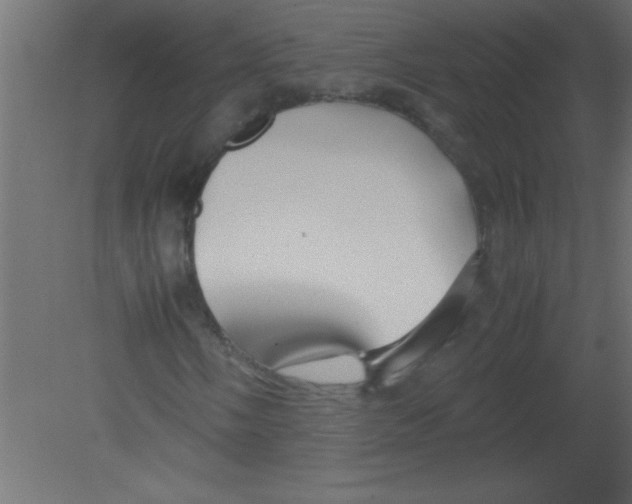 X0000080801058200701122209