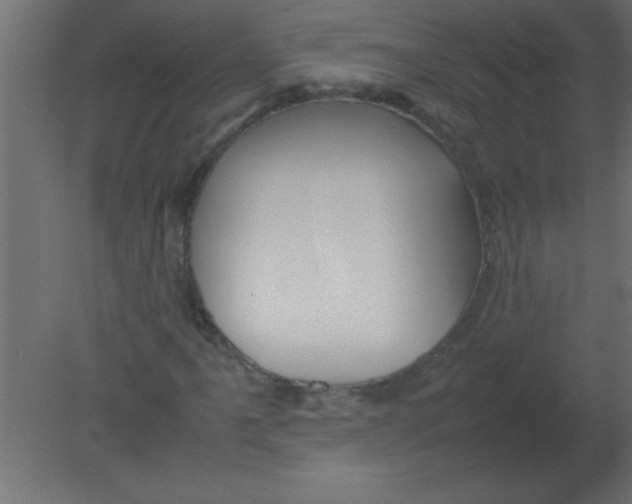 X0000080801061200701122209