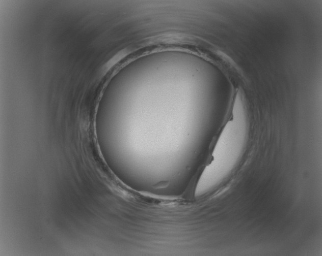 X0000080801065200701122209