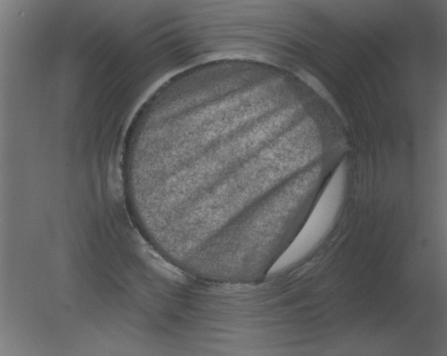 X0000080801068200701122208