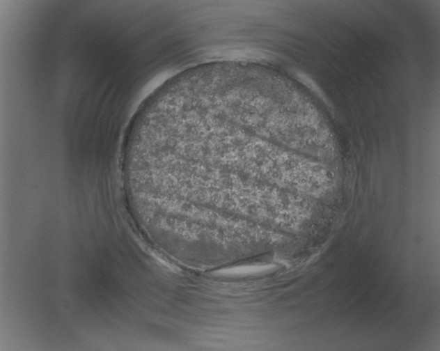 X0000080801071200701122208