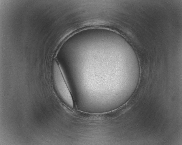 X0000080801073200701122208