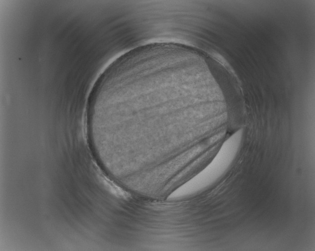 X0000080801076200701122208