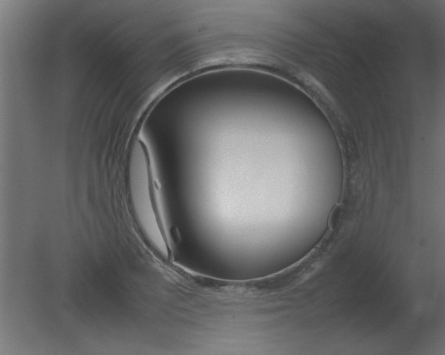 X0000080801081200701122208