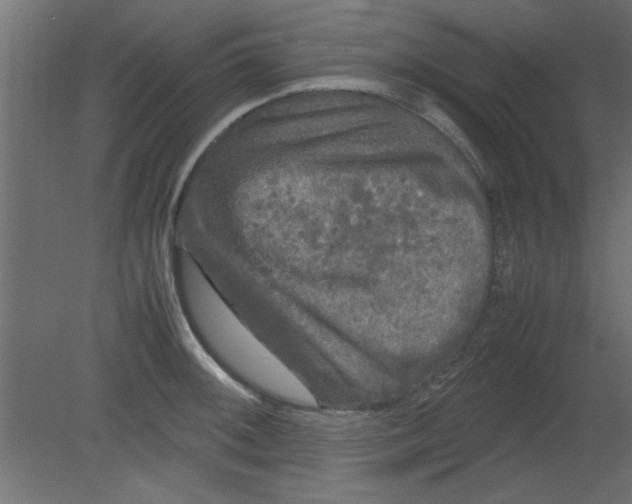 X0000080801092200701122208