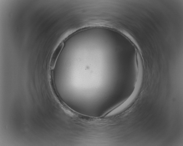 X0000080801093200701122208