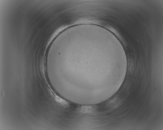 X0000080801094200701122208