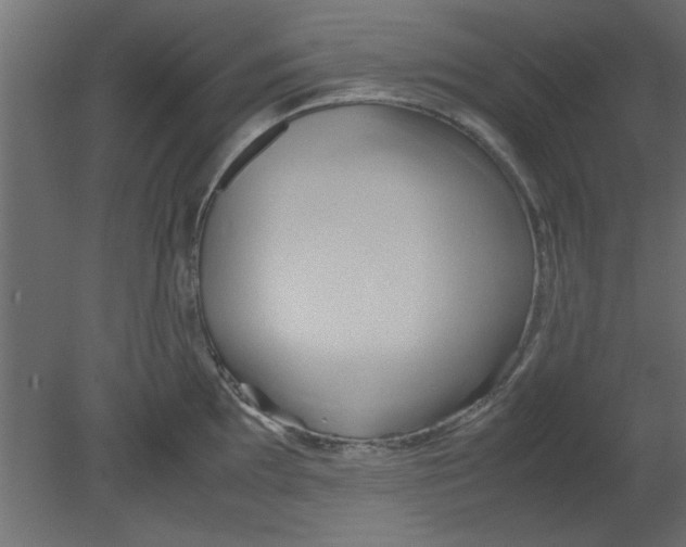X0000080801097200701122208