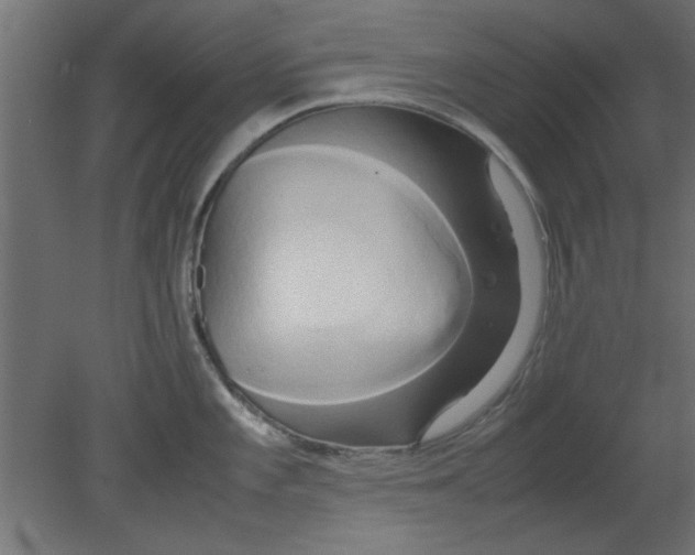 X0000080801101200701122208