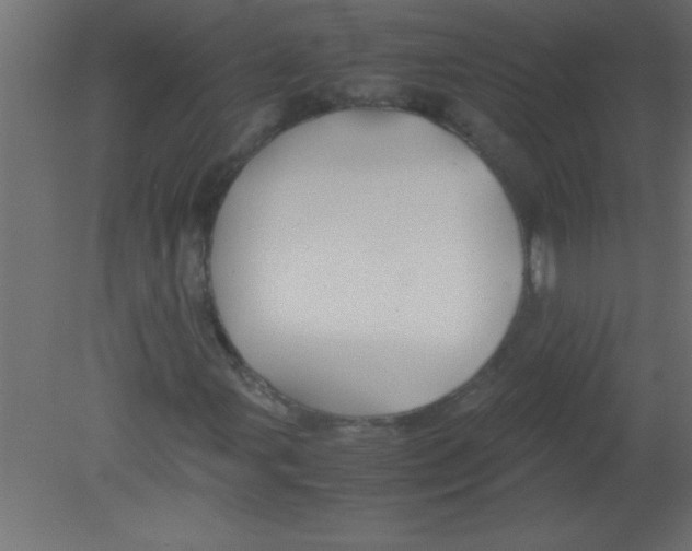 X0000080801107200701122207