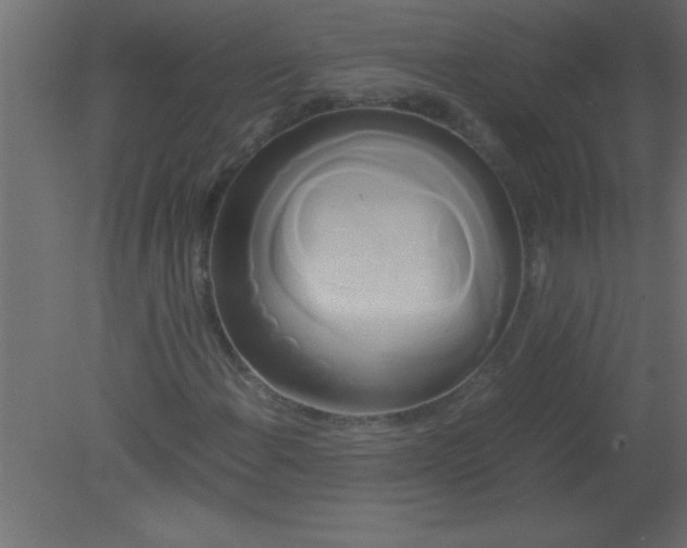 X0000080801108200701122207