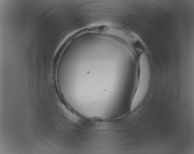 X0000080801116200701122207