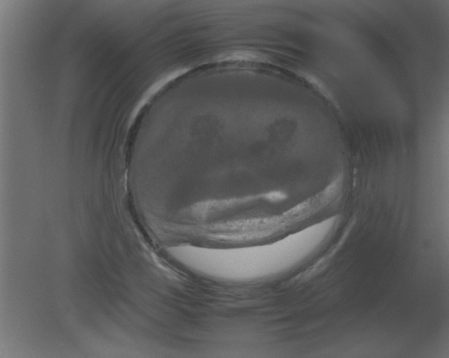X0000080801117200701122207
