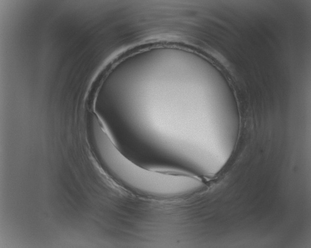 X0000080801118200701122207