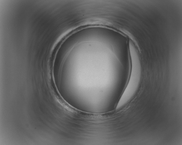 X0000080801120200701122207