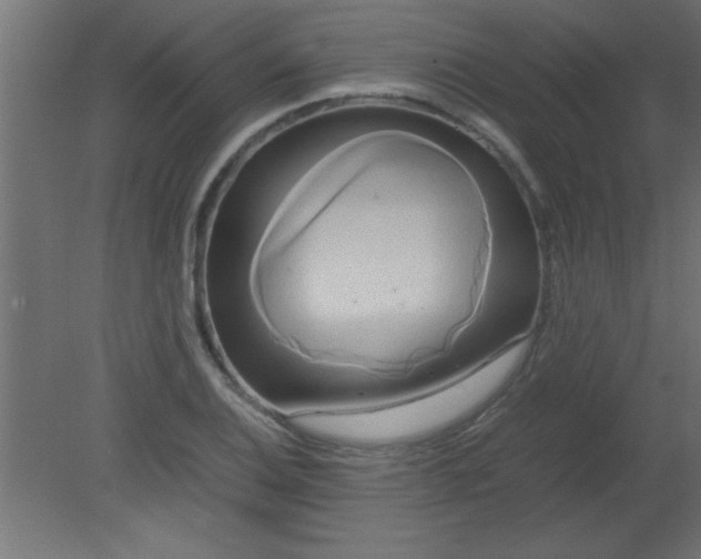X0000080801124200701122207