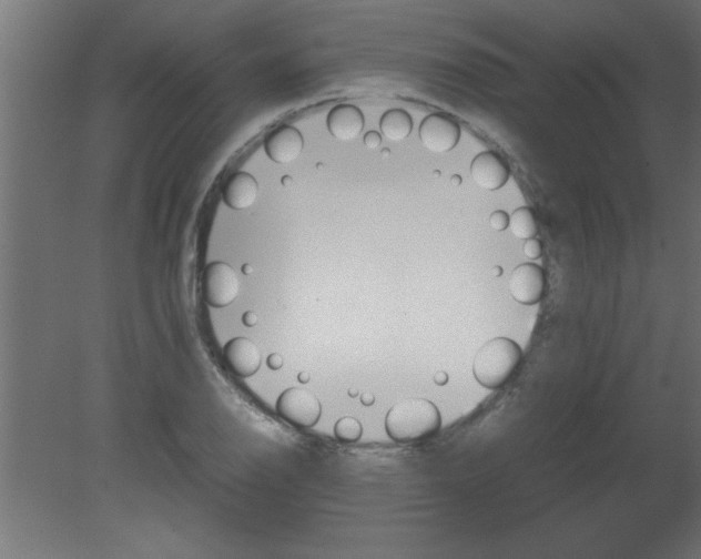 X0000080801126200701122207