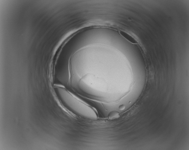 X0000080801128200701122207