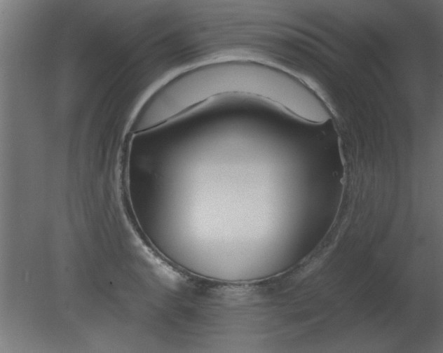 X0000080801134200701122208