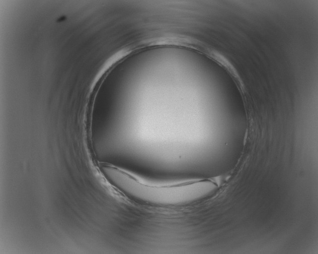 X0000080801138200701122208