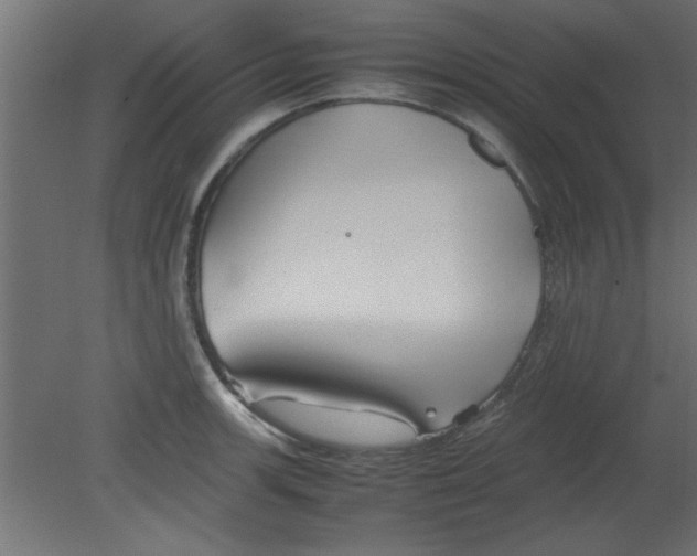 X0000080801139200701122208