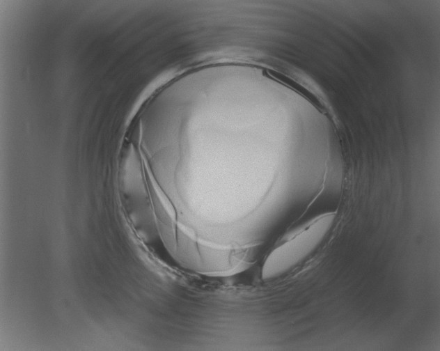 X0000080801146200701122208