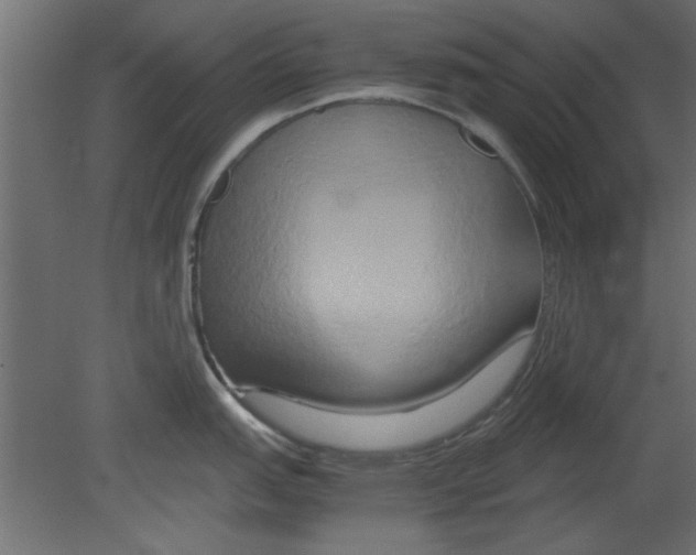 X0000080801151200701122208