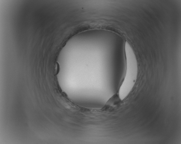 X0000080801153200701122207