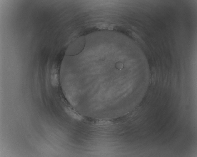 X0000080801154200701122207