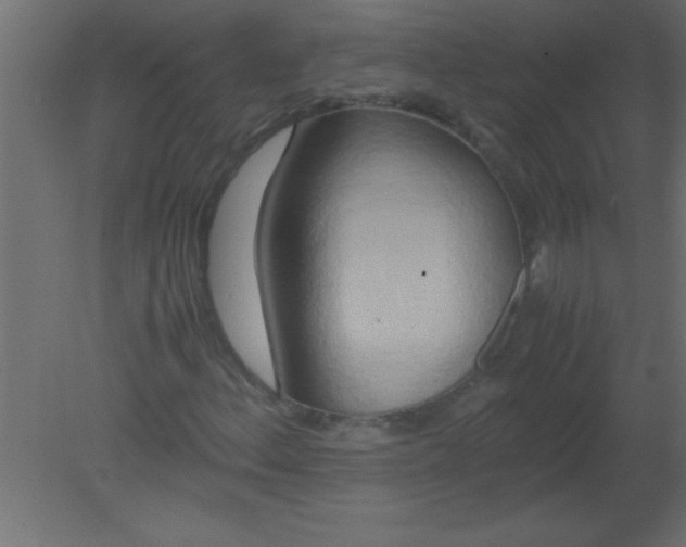 X0000080801156200701122207