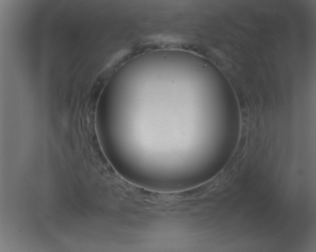 X0000080801157200701122207