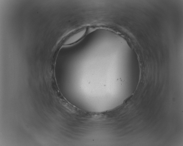 X0000080801160200701122207