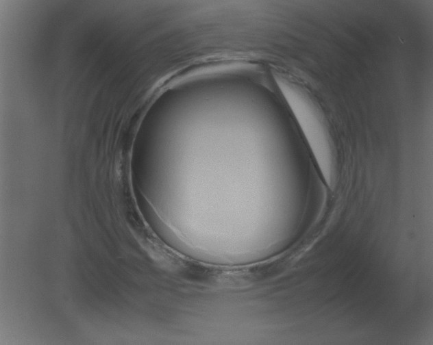 X0000080801161200701122207