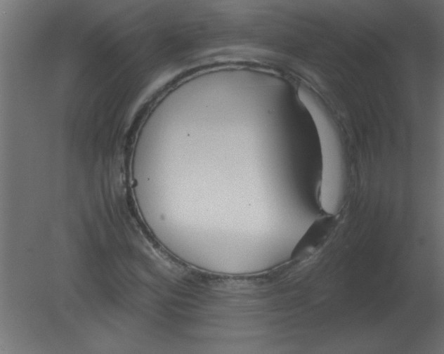 X0000080801164200701122207
